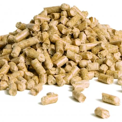 Pellet Le petit scieur français